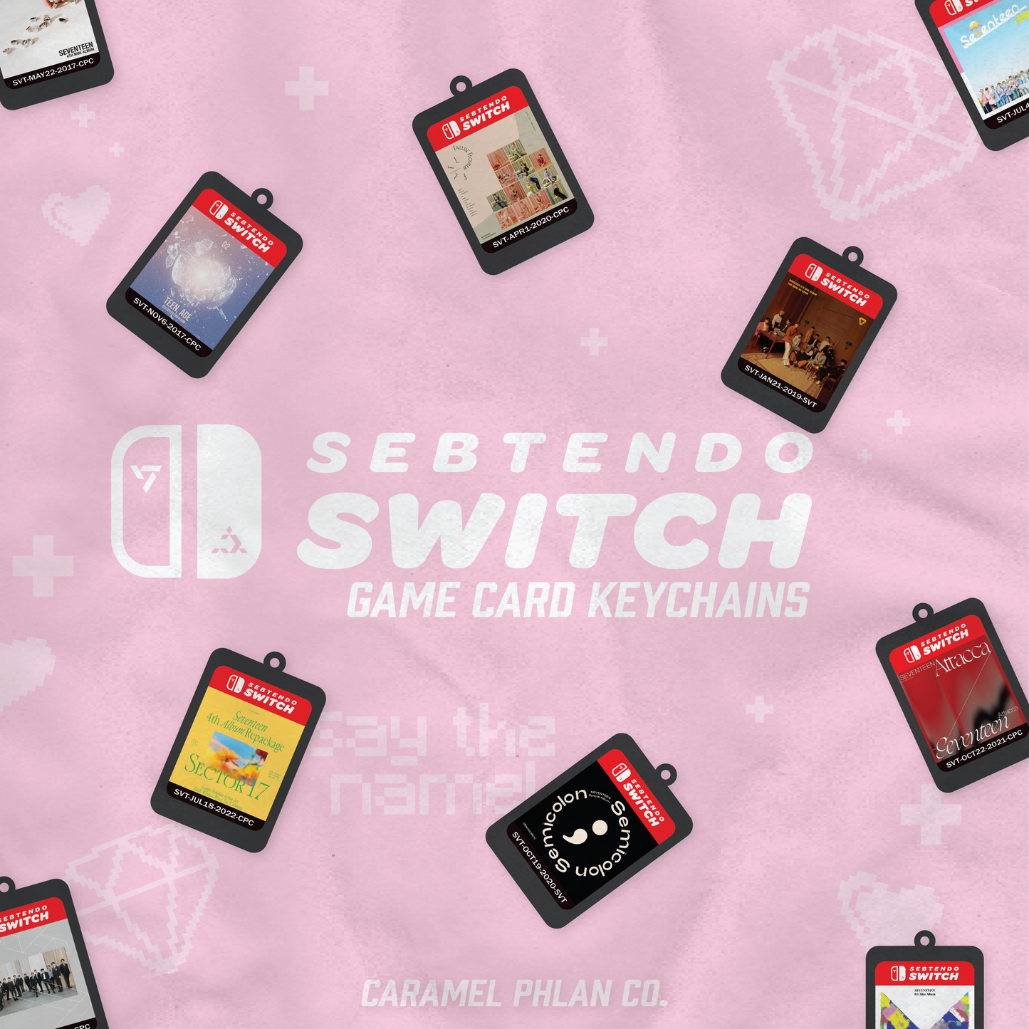 Sebtendo Switch Game Card Keychain Blind Bag